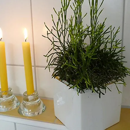 Apartman Feriendomizil Carmen Hofmann Absberg